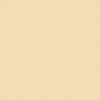 Polyvine Acrylic Enamel Paint - Ivory