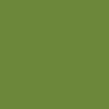 Polyvine Acrylic Enamel Paint - Lime
