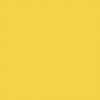 Polyvine Acrylic Enamel Paint - Lemon