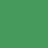 Polyvine Acrylic Enamel Paint - Signal Green