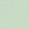 Dulux Walls and Ceilings Matt Paint - Willow Tree