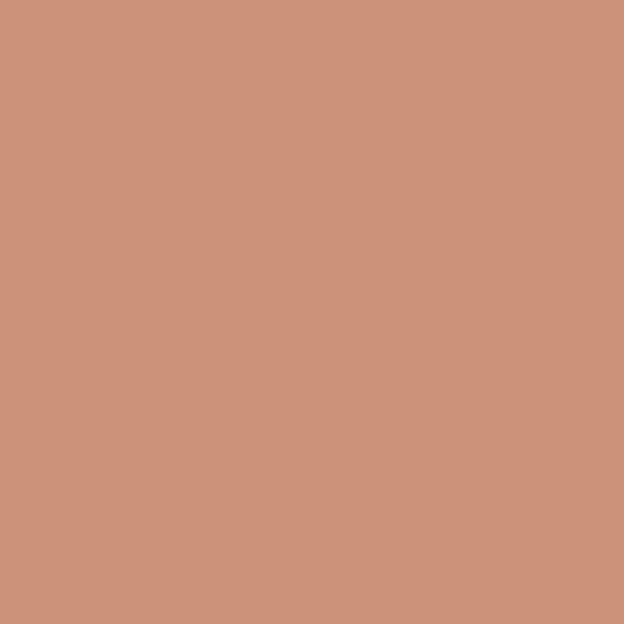 Dulux Walls and Ceilings Matt Paint